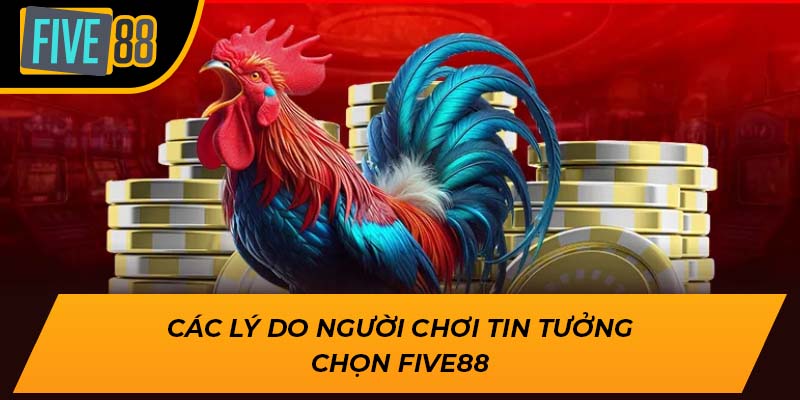 Trải Nghiệm Đặc Sắc Cùng Đá Gà Cựa Dao Tại Five88 3 Các lý do người chơi tin tưởng chọn Five88
